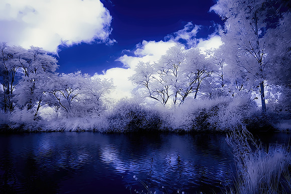 Etang de Plaisance
