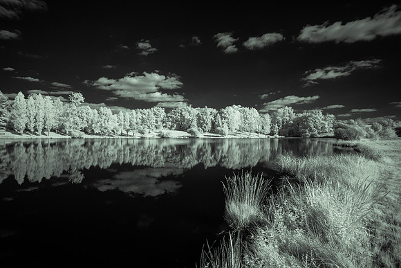 Etang de Plaisance