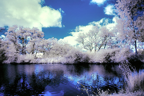 Etang de Plaisance