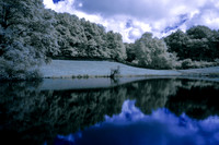 Puyjouard