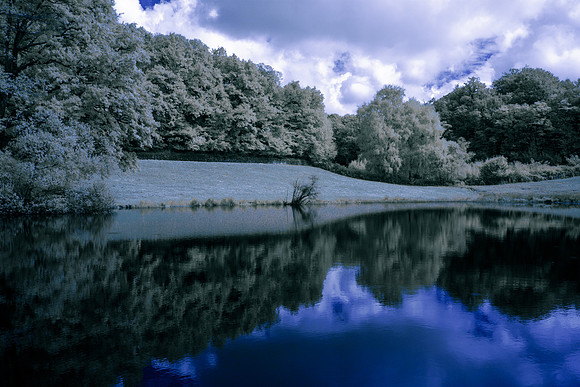 Puyjouard